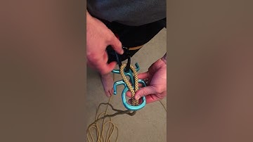 How the Critr2 works?