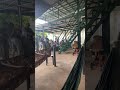Cảnh nổi bật từ buổi phát trực tiếp