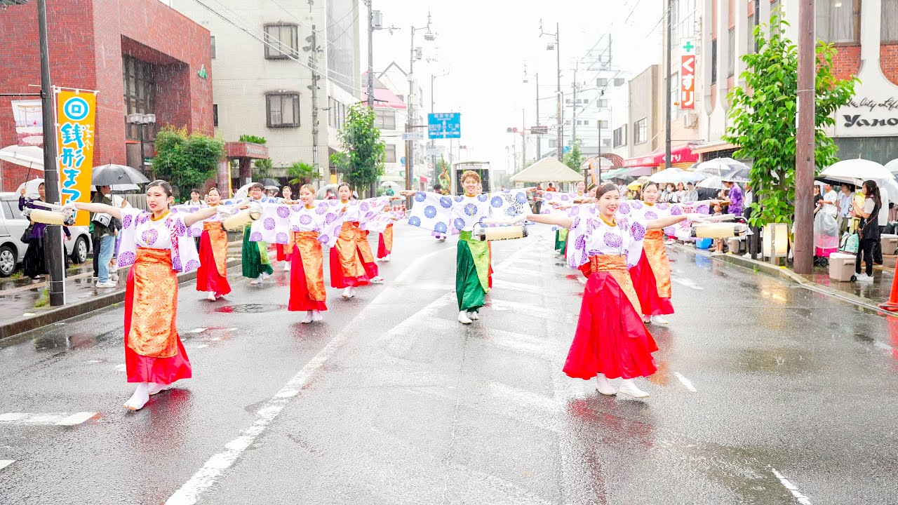 [4K] 羅り瑠れ櫓連 かんおんじ銭形まつり 2024 銭形よさこい(銭よさ) はれはれ会場 - YouTube