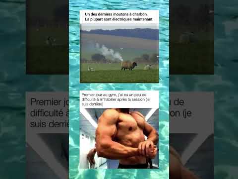 de retour au