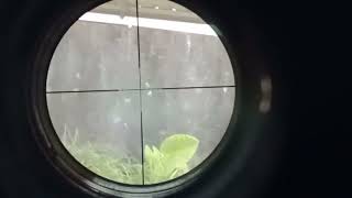 SHARP INOVA FULL MODIF YUMAJA POLYGON SEMPITERNAL A6 slug 13gr