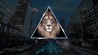 DJ Lion - Power Resimi