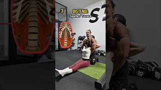 DISTENDERE il corpo con un PARTNER (stretching) #fitness #workout