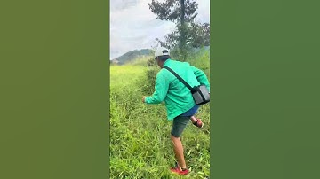 Phần2. Dt 9052m2 400m2 Tc Nhựa 30m Giáp Suối 45m Hà Lâm Đạ Huoai LĐ #nguoirungbds  0846.68.68.68