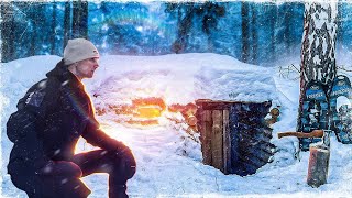 видео: ЗЕМЛЯНКА у БЕРЕЗЫ | НАШЕЛ ЧТОБЫ ВЕРНУТЬСЯ | ЧТО С НЕЙ СТАЛО? картинка: ЗЕМЛЯНКА у БЕРЕЗЫ | НАШЕЛ ЧТОБЫ ВЕРНУТЬСЯ | ЧТО С НЕЙ СТАЛО?