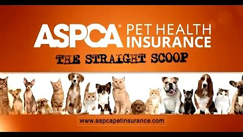 Aspca Pet Health Insurance Youtube