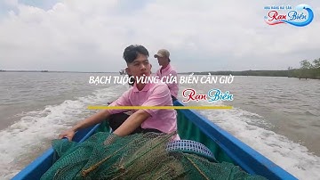 Theo chân Rạn Biển đánh bắt bạch tuộc vùng biển Cần Giờ | Hải Sản Rạn Biển