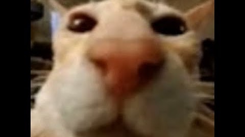 visiting the most racist csgo map