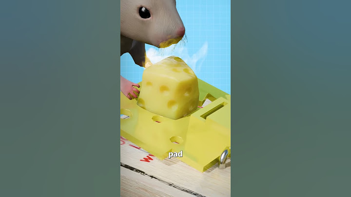How A Mouse Trap Works 🐭