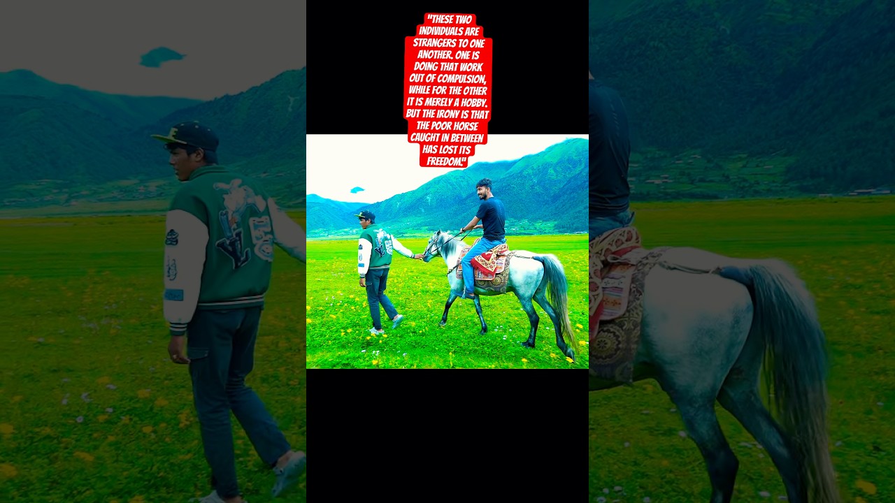 nature ❤️🍂🌿🏇