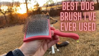 Chris Christensen Big G Slicker Dog Brush | Demonstration and Indepth Review