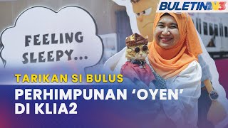 TARIKAN SI BULUS | 200 'Oyen' Berkumpul, Raikan Peminat