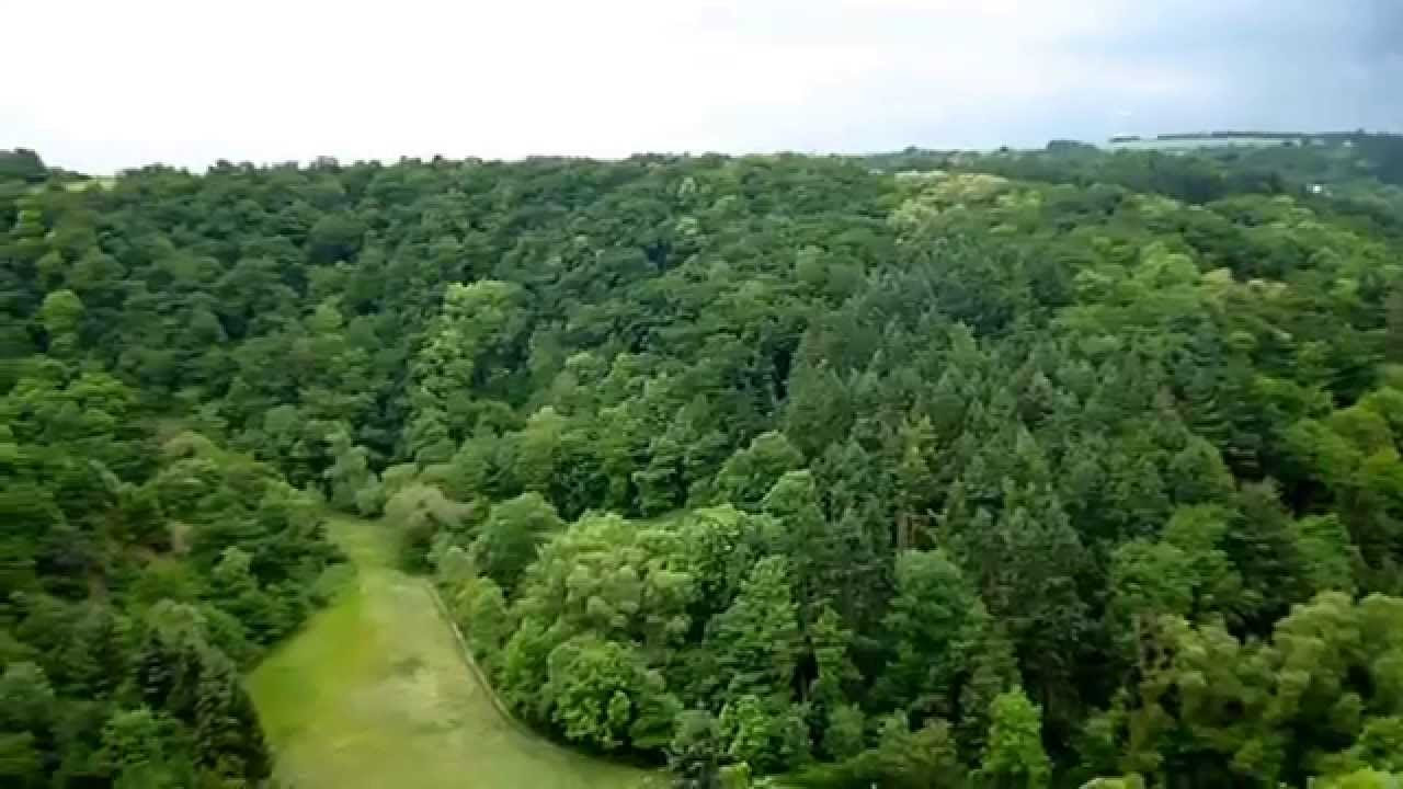 Motorradstrecke L 113 vom Straßburgerhof über Trimbs nach Polch