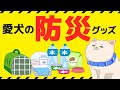 愛犬・ペットの防災グッズ｜もしものときに「今」備えよう！