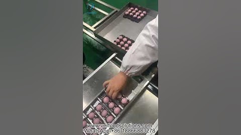 VERFOODSOLUTIONS Encrusting Machine Connect With Automatic Tray Arranging Machine
