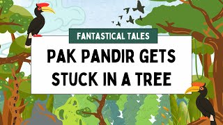 Pak Pandir Gets Stuck in a Tree | Fantastical Tales