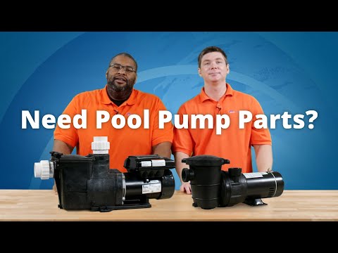 Parts Of A Pool Pump
