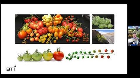 “Using Bioinformatics to Discover New Genes for Crop Improvement in Tomato” -  Fei and Giovannoni