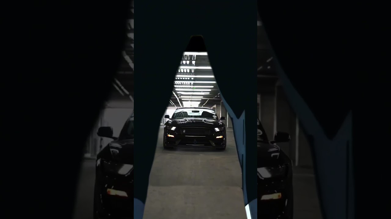 Mustang