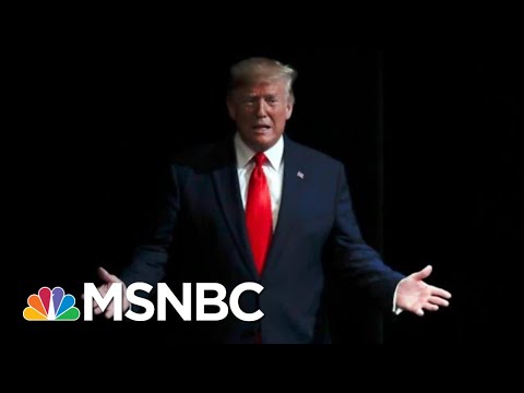 Day 987: The President In His Own Words Seems To Violate His Oath Of Office | The 11th Hour | MSNBC