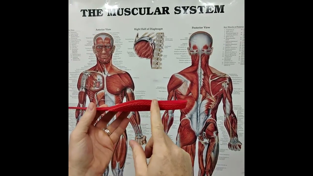 Orthotic insoles for children