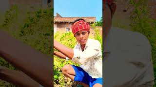 janwar se dar gaya#shorts#trending#yt shorts#the funny boys 8.0