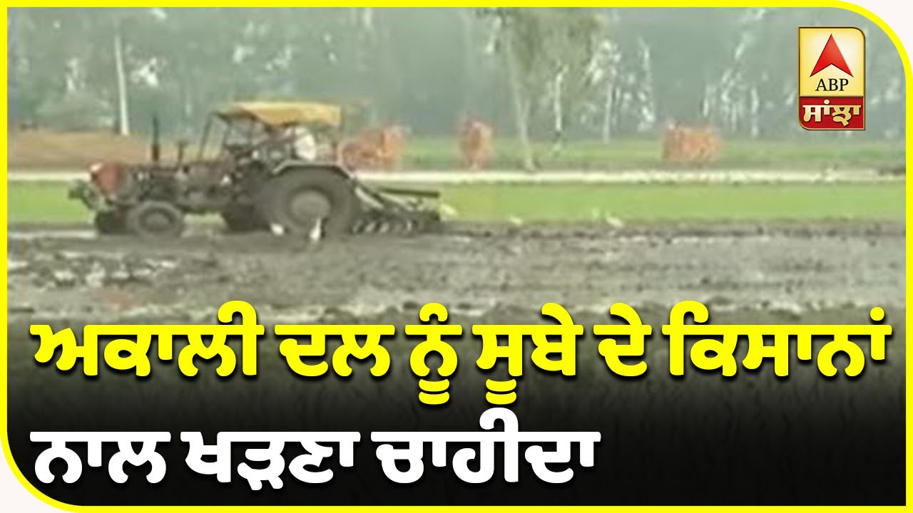 Breaking : Captain Amarinder Singh ਨੇ ਕਿਸਾਨਾਂ ਦੇ ਮੁੱਦੇ `ਤੇ Akali Dal ਨੂੰ ਘੇਰਿਆ| ABP Sanjha