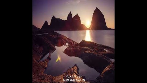 القارئ : وديع اليمني 🌸