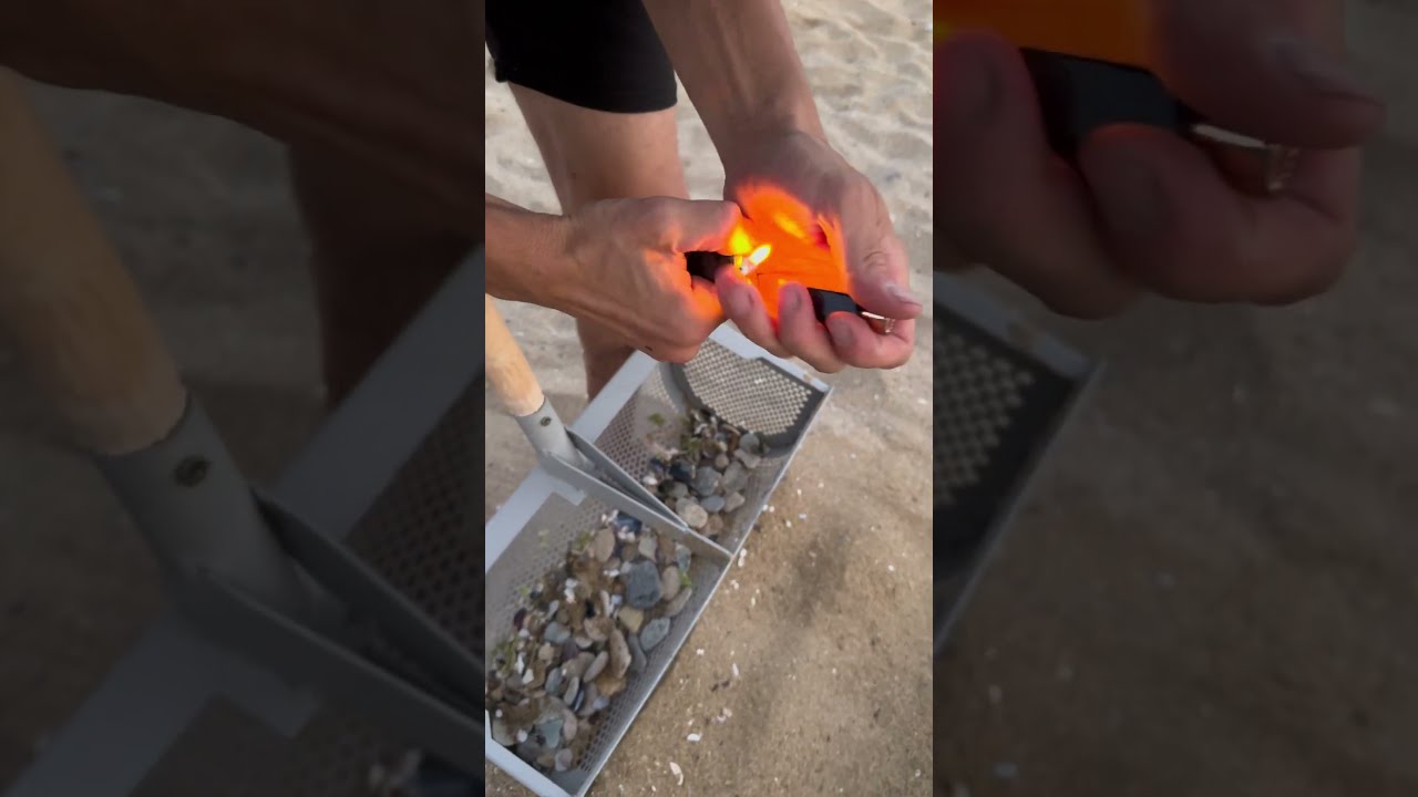 Beach Cleanup Reveals An Unexpected Discovery 