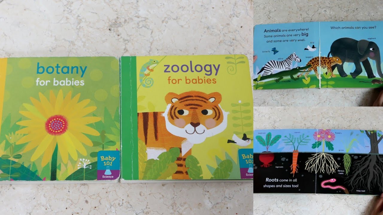 BOTANY FOR BABIES ZOOLOGY FOR BABIES BBW Children's Book YouTube