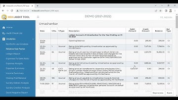 MDA Audit Tool - RSF