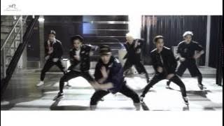 Exo Call me baby Dance Version Mirrored