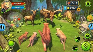 Mountain Lion family simulator - Animal simulator gameplay walkthrough android part 1 screenshot 4