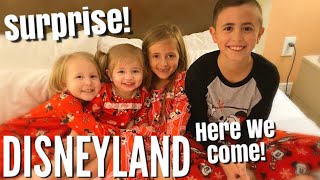 OUR EPIC SURPRISE FAMILY TRIP TO DISNEYLAND!! \/ How'd We Keep This Secret From Them for Two Months!?