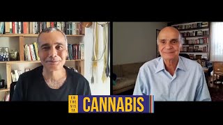 O avanço no debate sobre cannabis medicinal | Sidarta Ribeiro