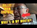 Bullet Train Tokyo Mt. Fuji And I Have No Idea What I Put In My Mouth