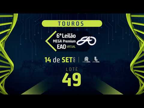 LOTE 49