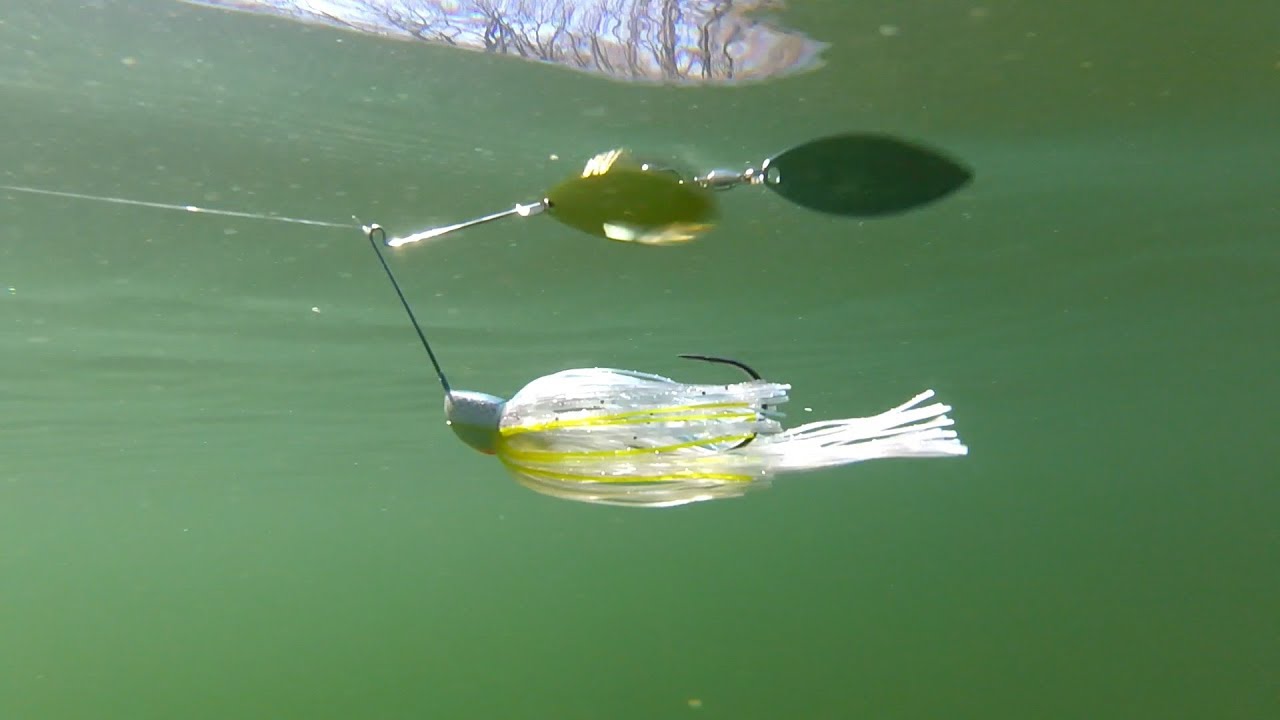 Willow Blade Spinnerbaits  What Your Lures Look Like Underwater