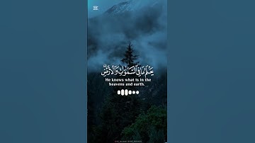 سوره العنكبوت تلاوه الشيخ عبدالرحمن مسعد