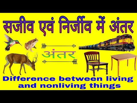सजीव व निर्जीव में अंतर | How living beings differ from non living objects || hindi ||