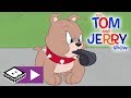 The Tom and Jerry Show | Bad Winner Puppy | Boomerang UK