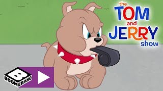 The Tom and Jerry Show | Bad Winner Puppy | Boomerang UK Resimi