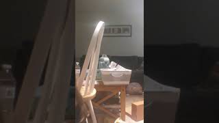 Thicc Sisters Introduction