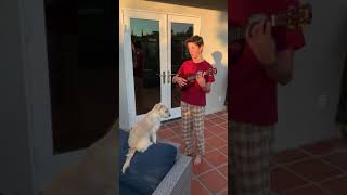 Penny Please Poo Song