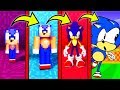 КАК МЕНЯЛСЯ СОНИК И ЕГО ЖИЗНЕННЫЙ ЦИКЛ В МАЙНКРАФТ ~ ЭВОЛЮЦИЯ СОНИКА В MINECRAFT SONIC