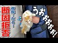 【誕生日なのに】レントゲン室へ連れていかれた愛猫の「絶対イヤ！」が止まりませんww