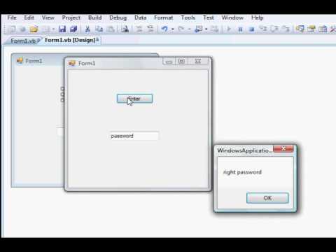 password protecting in visual basics