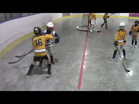 Sasha's Ball Hockey - Moment 2 - May 24, 2026