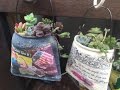 【DIY】リメイク缶と多肉植物は相性抜群↑おしゃれでかわいい♡～Remake can and succulents