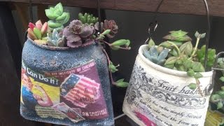 【DIY】リメイク缶と多肉植物は相性抜群↑おしゃれでかわいい♡～Remake can and succulents